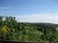 Immagine 16