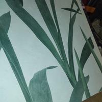 campionario carta da parati meraviglioso 