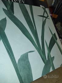 campionario carta da parati meraviglioso 