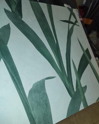 campionario carta da parati meraviglioso 