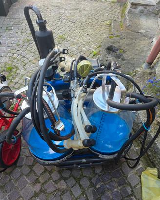 mungitrice Delaval 4 gruppi ovicaprini