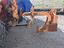 Immagine 6