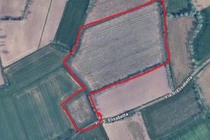 Vendita terreno seminativo gruaro