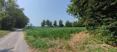 Terreno di 6260 m² a Cologno al Serio