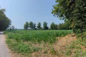 Terreno di 6260 m² a Cologno al Serio