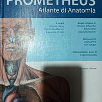 Atlante Anatomia Umana Prometheus usato pochissimo