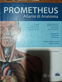 Atlante Anatomia Umana Prometheus usato pochissimo