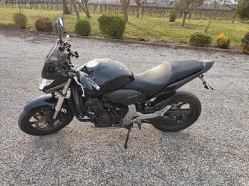 honda hornet cbf  600