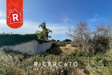 Masseria da ristrutturare Via Rapolla