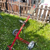 Carrello golf