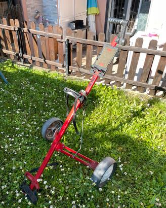 Carrello golf