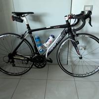 BIKE  FRW  -  mod. NAPA VALLEY