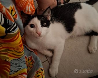 Oscar