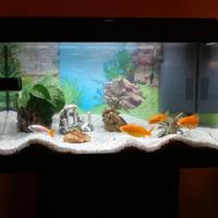 Acquario Juwel Primo 60 LED + Mobile + Accessori