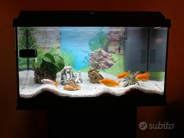 Acquario Juwel Primo 60 LED + Mobile + Accessori