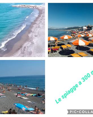 Lavagna Cavi