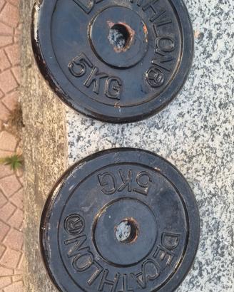 dischi palestra 5kg