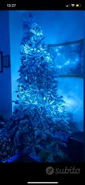 albero di natale 