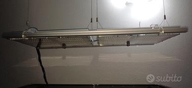 Plafoniere gnc bluray m