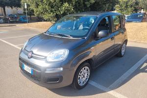 Panda 1.2 2018 GPL