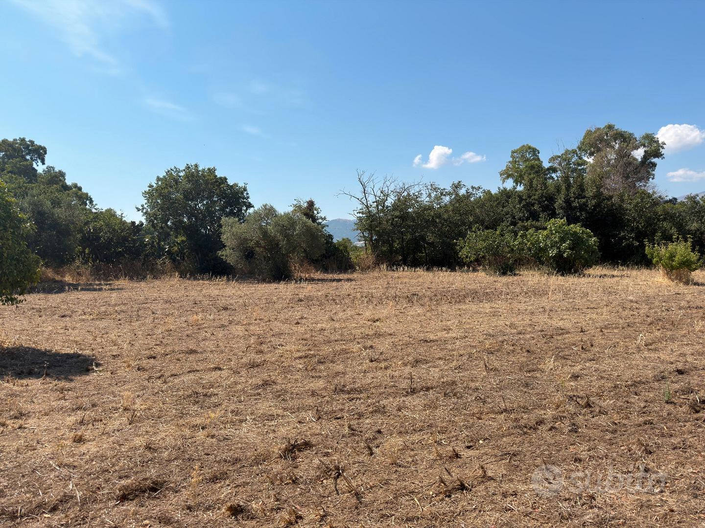 Guspini- Terreno Agricolo Località Is Mobinus - Vista 4