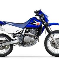 Scarico Marmitta Terminale Suzuki DR 650