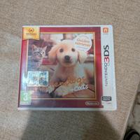 Nintendogs + cats