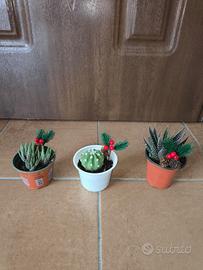 Piccole piantine grasse