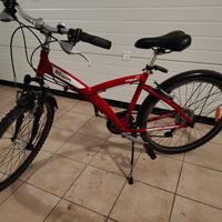 Bicicletta da città e campagna 