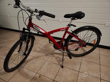 Bicicletta da città e campagna 