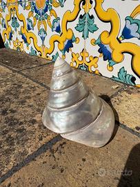 Grande conchiglia di mare- Mod.Trochus.