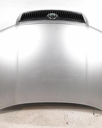 COFANO ANT. SKODA FABIA «6Y5» SW (2000)