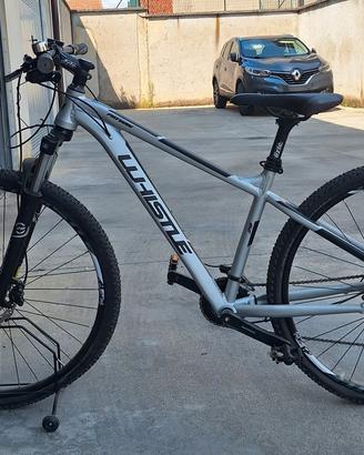 bicicletta whistle 2162