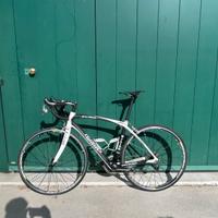 Wilier Pro-Race