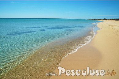 Casa Verdi Pescoluse a 100 metri dal mare