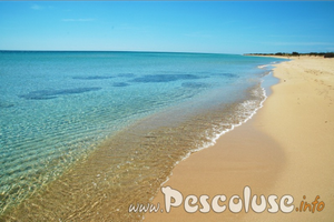 Casa Verdi Pescoluse a 100 metri dal mare