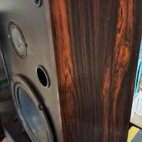 coppia casse acustiche Pioneer