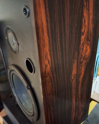 coppia casse acustiche Pioneer