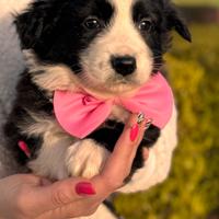 Mabel, quasi due mesi