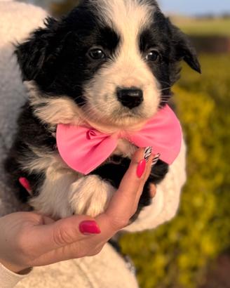 Mabel, quasi due mesi