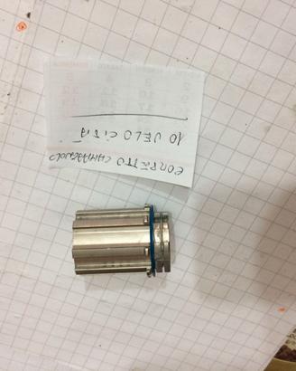 Corpetto campagnolo pignoni