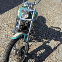 Harley davidson softail custom