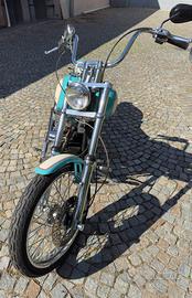 Harley davidson softail custom