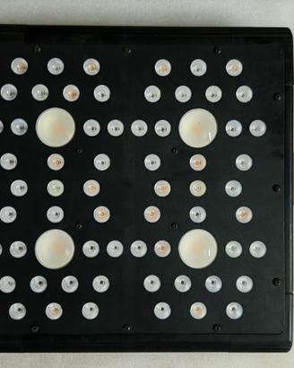 Lampada LED coltivazione Lumeny Evolution Cree 300