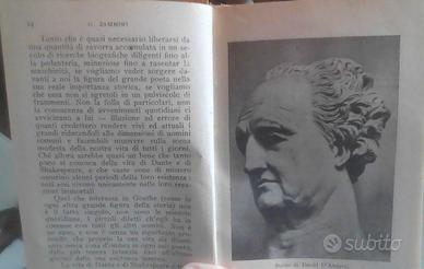 Goethe di Giuseppe Zamboni Vallecchi Editore