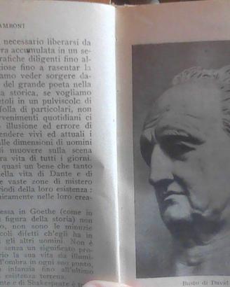 Goethe di Giuseppe Zamboni Vallecchi Editore