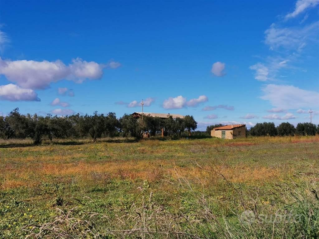 Rustico / Casale di 25025 m² con 2 locali a Tuscan - Altro