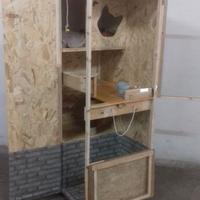 CASETTA/BOX PER GATTI