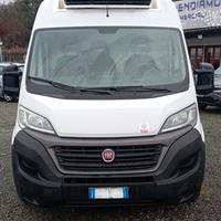 Ducato Frigo