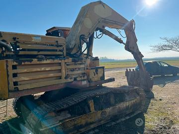 Jumbo bruneri 120